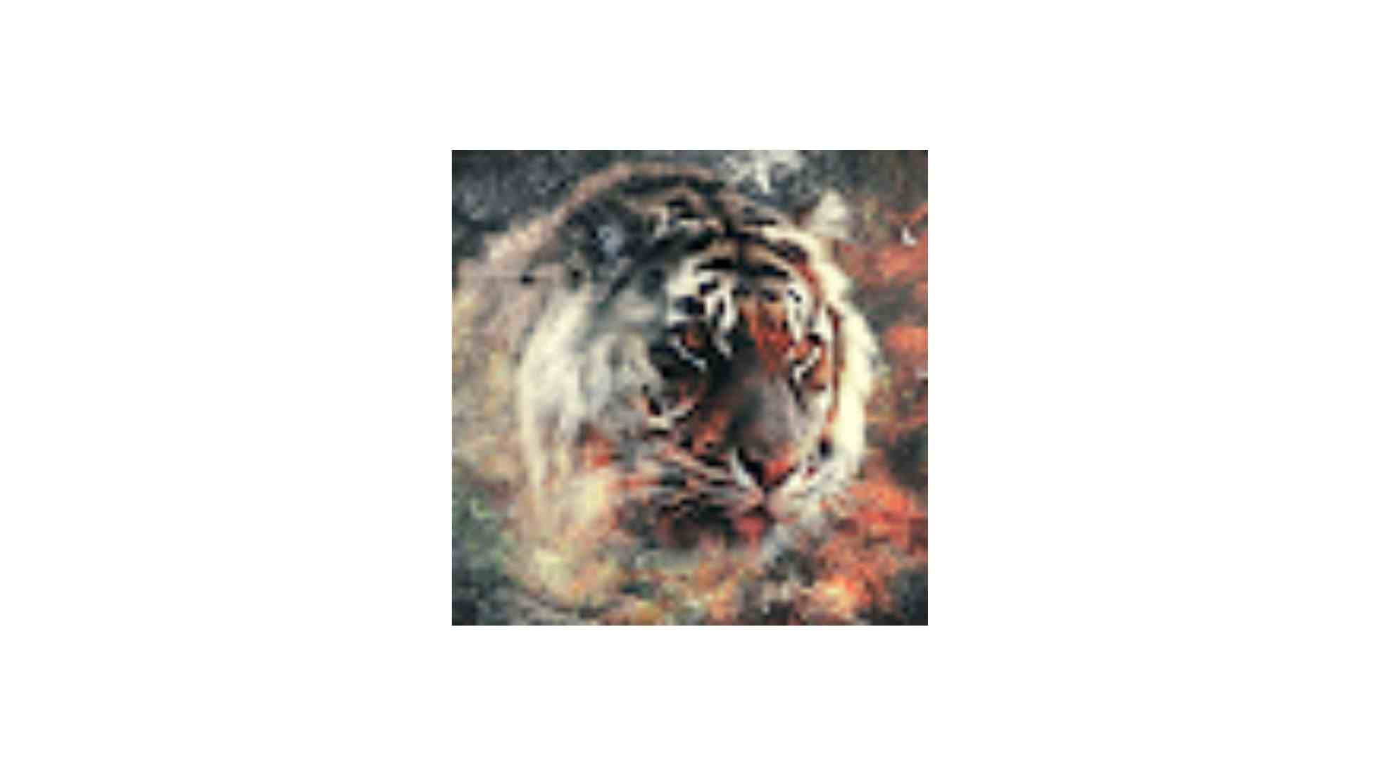 Hình nền con hổ 4k - Tải xuống Hình nền con hổ mát mẻ nhất