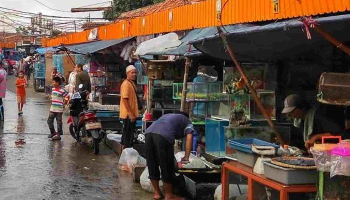 pasar hewan jatinegara