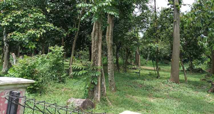 cagar alam depok