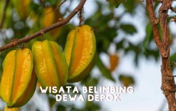 wisata belimbing dewa depok