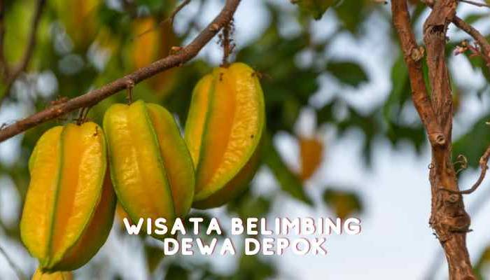 wisata belimbing dewa depok