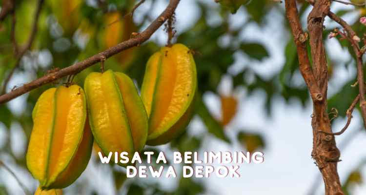 wisata belimbing dewa depok