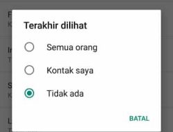 Cara Agar WhatsApp Tidak Terlihat Online dan Menghilangkan Tulisan Sedang Mengetik