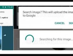 Mencegah Hoax, WhatsApp Uji Coba Fitur Pencarian Gambar
