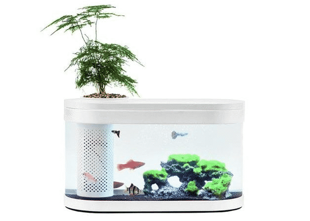 Xiaomi Aquarium Portabal atau Fish Tank