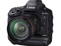 Canon Luncurkan EOS-1D X Mark III Dengan Peningkatan Kinerja dan Kemampuan Merekam Video