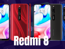 Redmi 8 Mendapatkan Pembaharuan Android 10