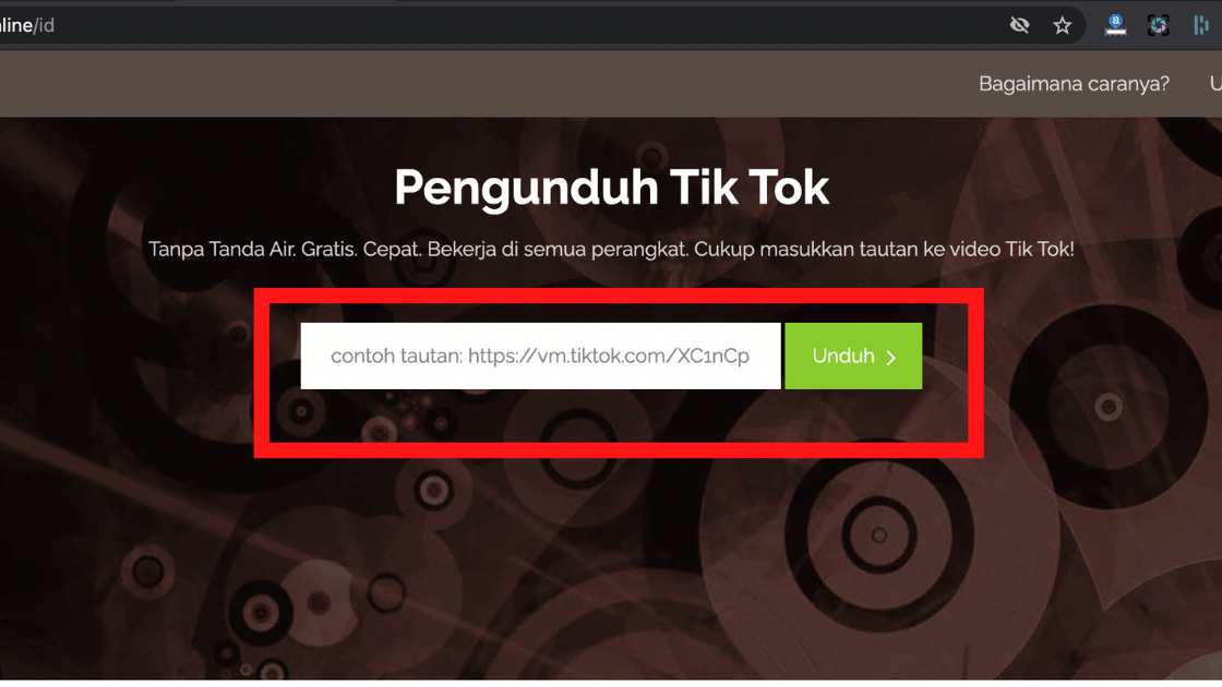 Download Video TikTok