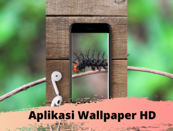 Daftar Aplikasi Wallpaper HD Terbaik yang Cocok Untuk Smarphone Sobat!