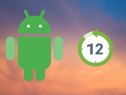 Cara Instal Android 12 Developer Preview di Google Pixel