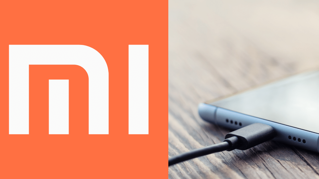 Xiaomi Fast Charging 200 W (1)