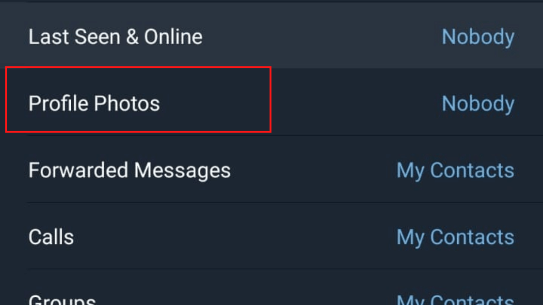 Profile Photos Telegram