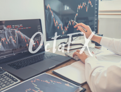 Review Aplikasi Trading OctaFx