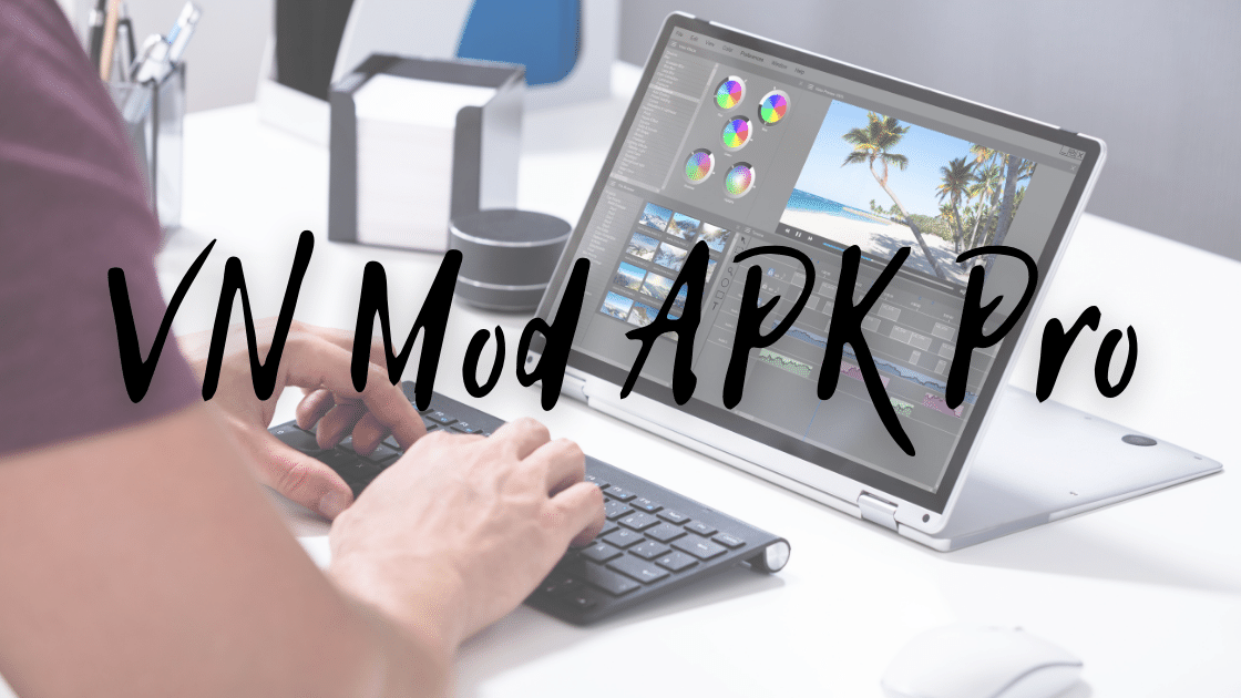 VN Mod APK Pro