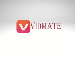 Download Vidmate Apk Pure: Akses Cepat Video Favoritmu!