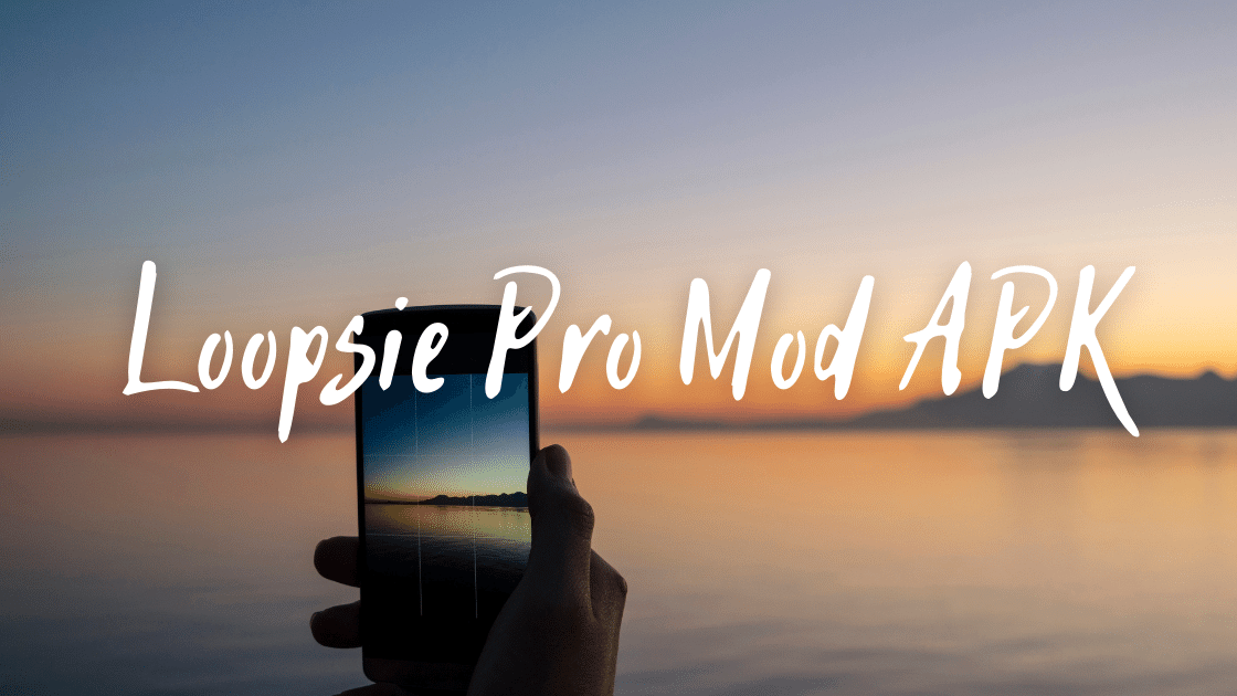 Loopsie Pro Mod APK
