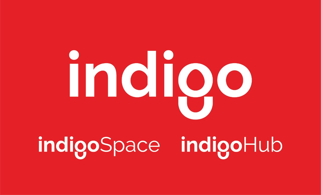 Indigo Rebranding