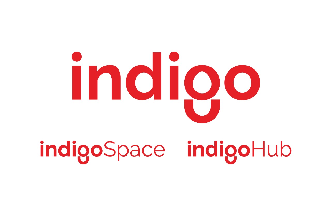 Indigo Rebranding