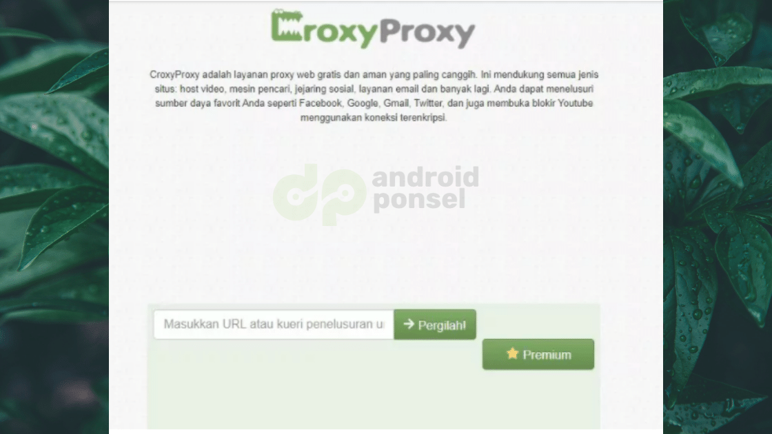 Croxyproxy chrome