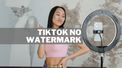 TikTok No Watermark apk