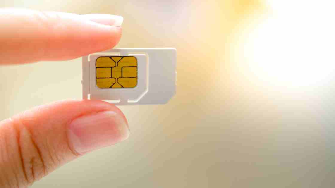 Mini SIM Card