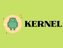 Ketahui Apa Itu Kernel, Sejarah, Kategori, Kegunaannya Pada Android