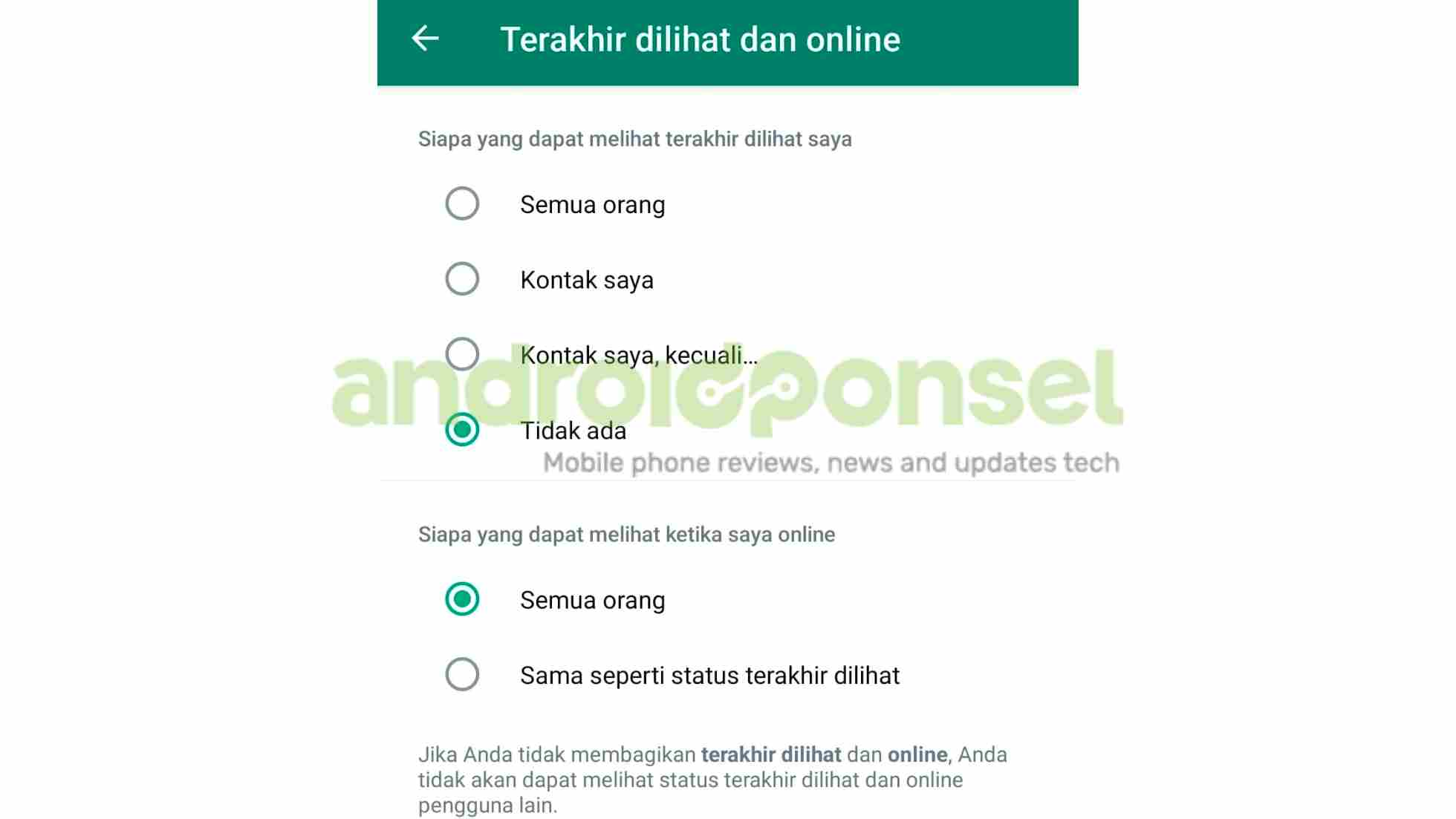 wa tidak terlihat online