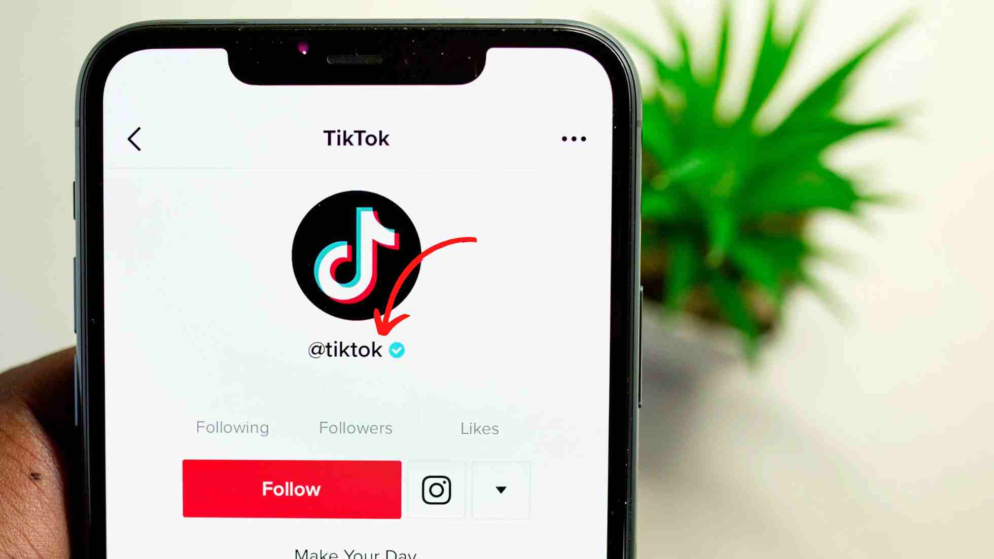 Profil Tiktok