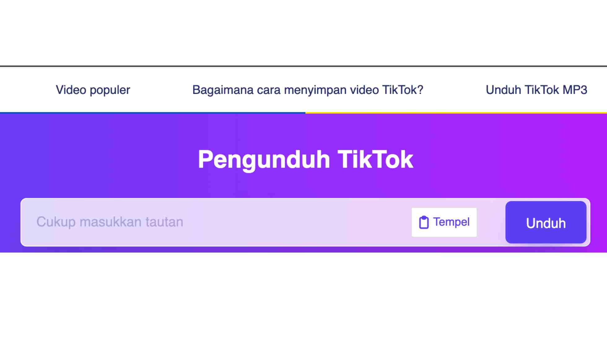 SS TikTok