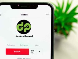 Freer In Suntik Follower dan View TikTok Otomatis