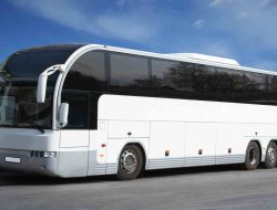 Livery Bussid Bus STJ SHD Full Strobo: Kumpulan Skin Bus Terlengkap untuk Pemain Bussid