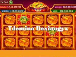 Tdomino Boxiangyx: Cara Jual Beli Chip Higgs Domino Island yang Aman