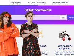 SSSTikTok MP3 Cara Download Audio TikTok dengan Mudah dan Cepat