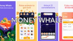 Money Whale: Game Penghasil Uang Apakah Legal?