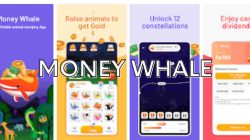 money whale