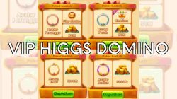 Cara Daftar Akun VIP Higgs Domino: Nikmati Keuntungan Seru!