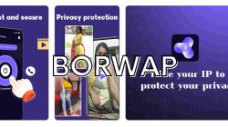 Borwap: Kebebasan dan Privasi Internet di Ujung Jari