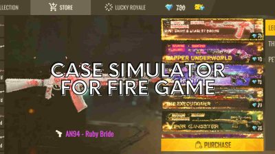 Case Simulator for Fire Game