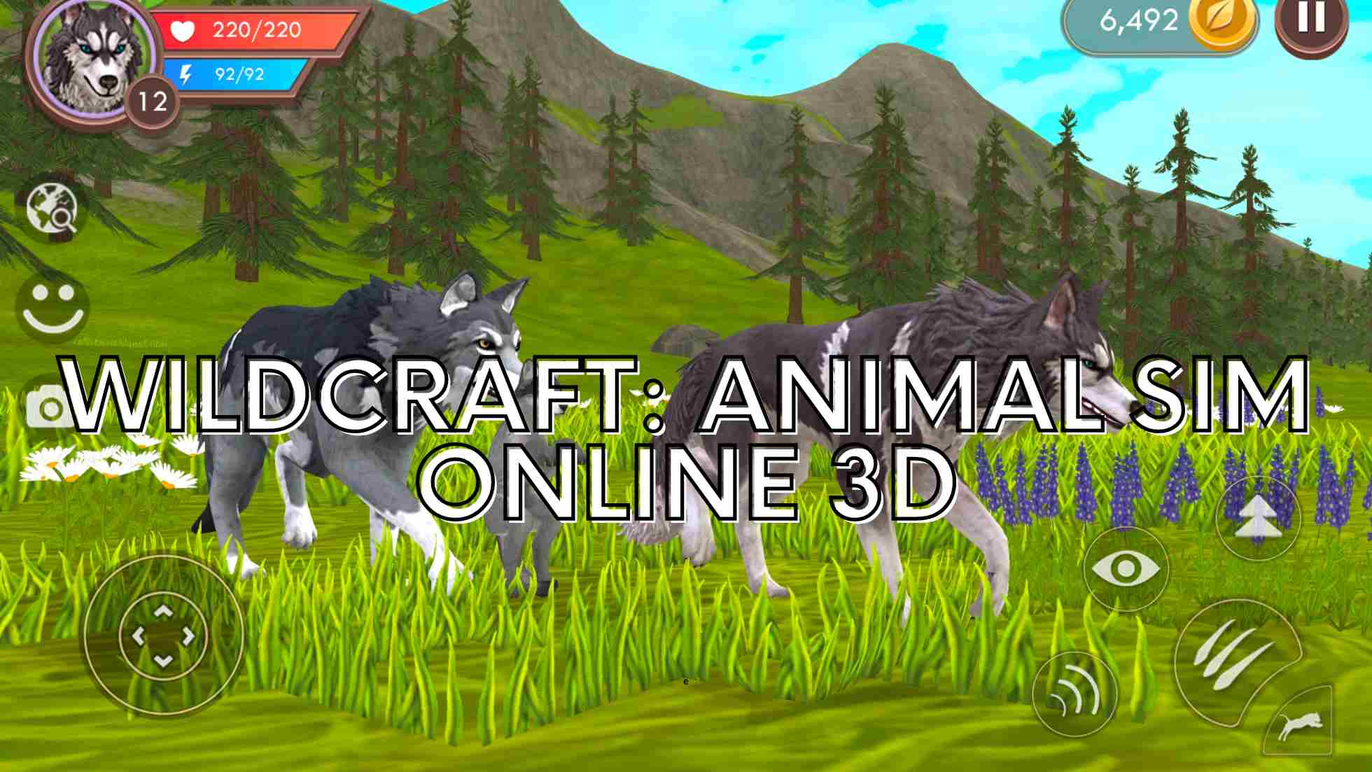 Wildcraft Animal Sim Online 3D