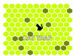 Cat Trap, Game Kucing yang Menyenangkan dan Mengasah Otak