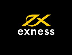 Exness Trader APK: Perdagangan Cepat dan Efisien dengan Fitur Lengkap