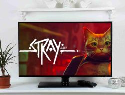 Game Stray CAT: Meong-Meong Dalam Dunia Cyberpunk