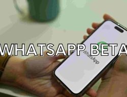 WhatsApp Beta APK: Coba Fitur Terbaru WhatsApp Lebih Dahulu Dari Orang Lain