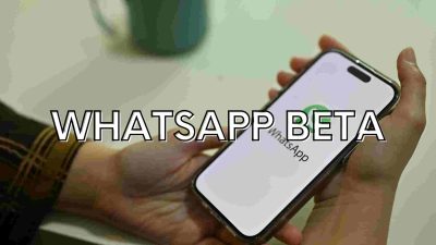 WhatsApp Beta APK: Coba Fitur Terbaru WhatsApp Lebih Dahulu Dari Orang Lain
