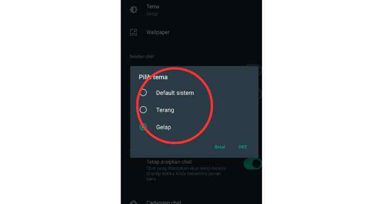 pilihan tema whatsapp