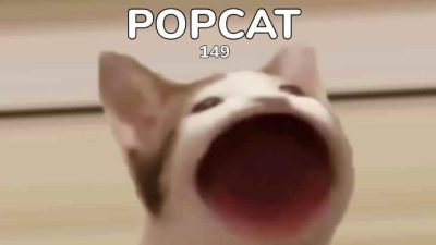 popcat game