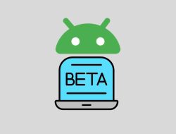 Apa Itu Versi BETA pada OS Android?