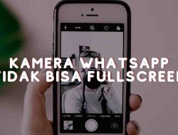 Kenapa Kamera Whatsapp Tidak Full Screen? Penjelasan dan Solusi