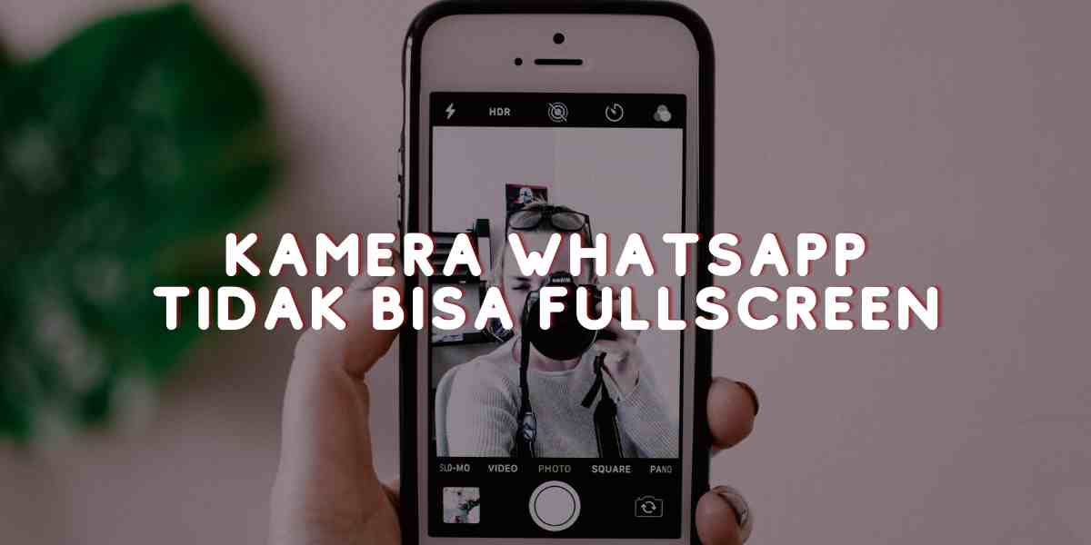 Kamera Whatsapp tidak bisa fullscreen