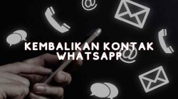 Kembalikan kontak whatsapp